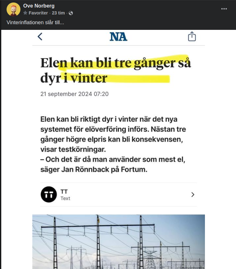 Vinterdyr Elektricitet..