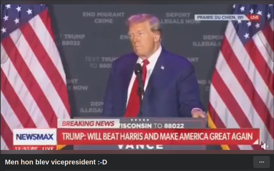 Mentalt Störd Vicepresident..