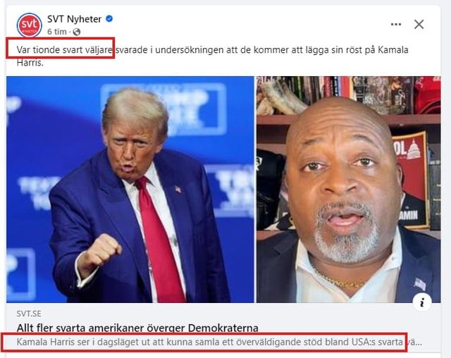 Var Tionde Svart Väljare..