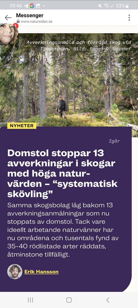 13 Skogsavverkningar Domstolsstoppade