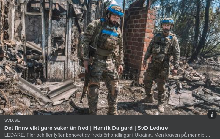 Viktigare Än Fred I SvD