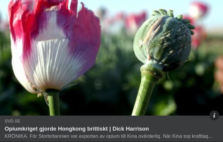 Dick & Opiumkrigen I SvD