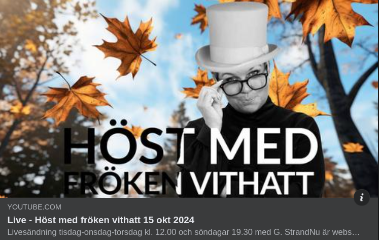 Vithattshöst 2024 10 15