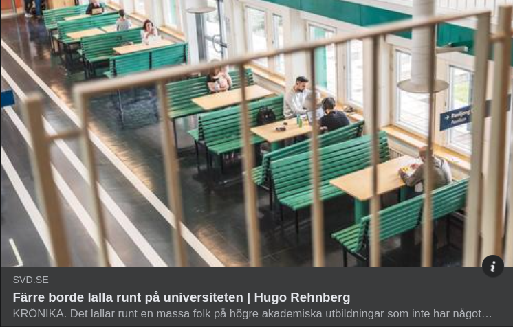 Universitetslallande I SvD