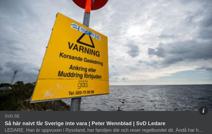 Svenskt Säkerhetstänkskritik I SvD