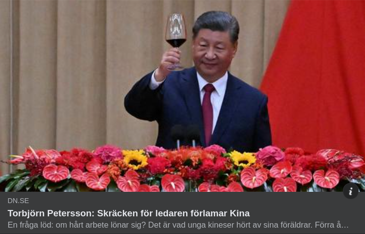 Kinesisk Ledarskräck I DN