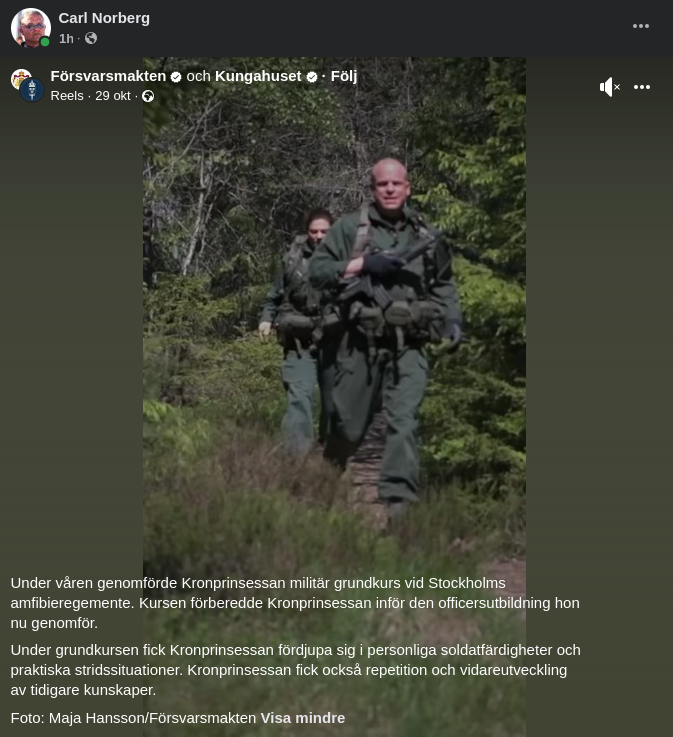 Victoria I Försvarsmakten