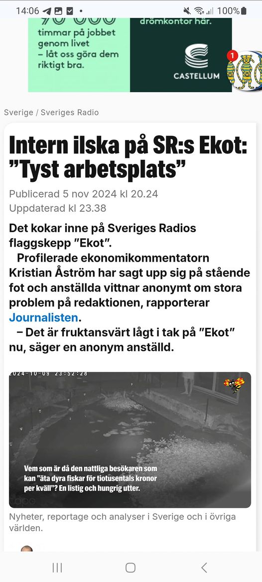 Ekot I Tystnad