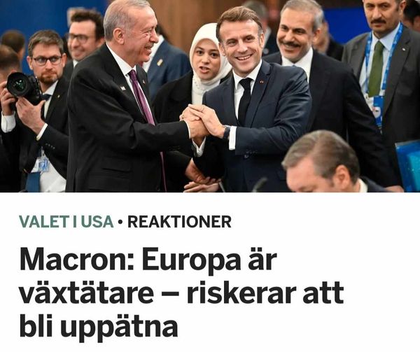 Köttätare & Växtätare Samt En Makaron