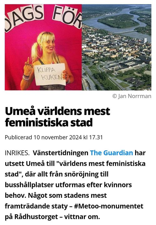 Världsmästarfeministiskt Umeå