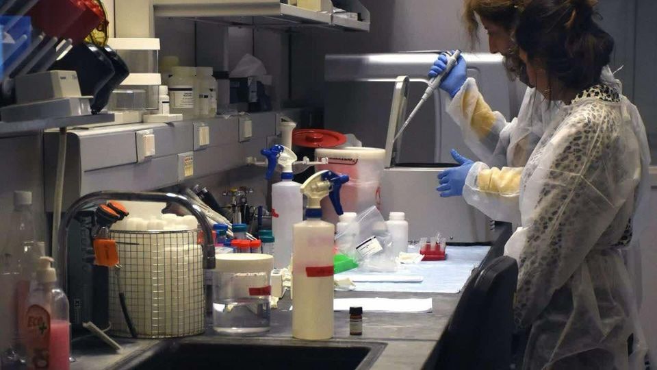 Smittad Blod Från Nato Till Ukraina