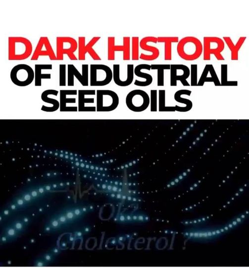 Industriell Fröolja