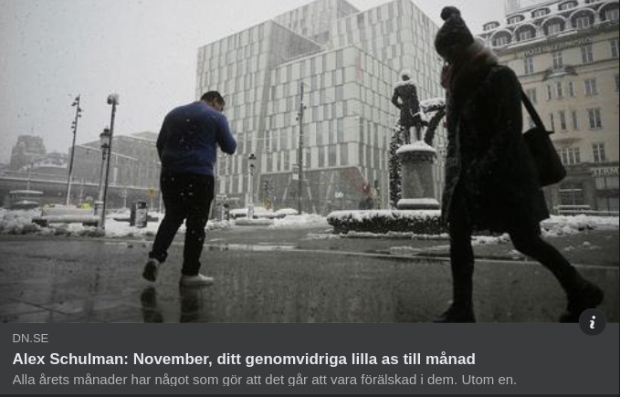 Novemberhatande Schulman