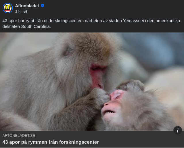 43 Förrymda Apor I South Carolina