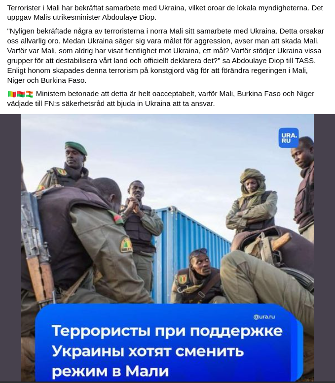 Mali-Terrorister & Ukraina I Samarbete
