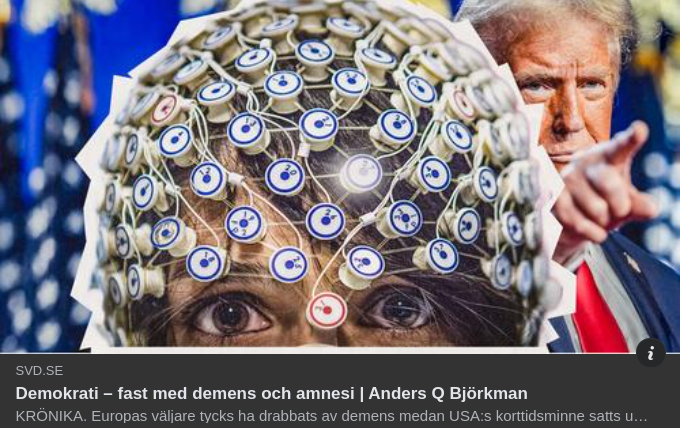 Demokrati, Demens & Amnesi I SvD