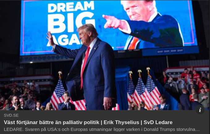 Palliativ Politik I SvD