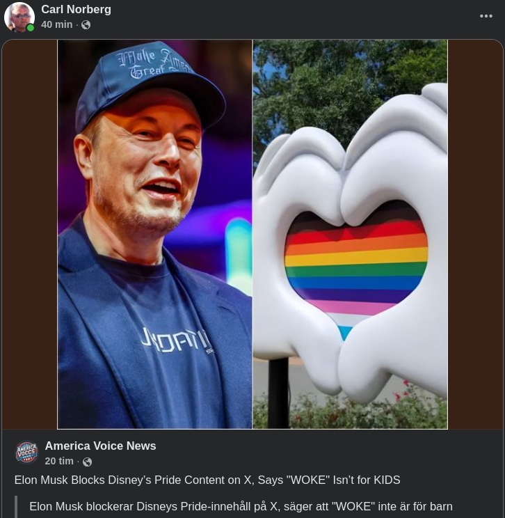 X Blockar Woke-Disney