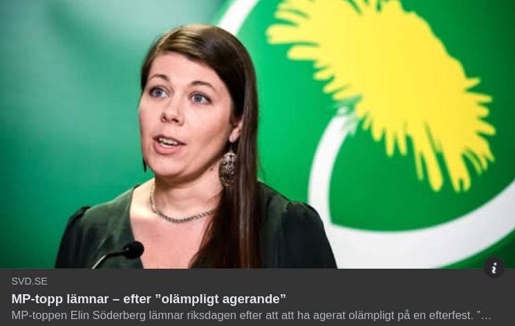 Elin Söderberg (MP) Avgår Efter Olämpligt Efterfestagerande