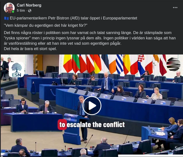 AfD-Representant Talar Ut I Europaparlamentet