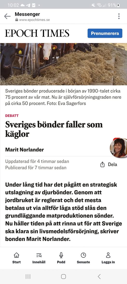 Marit Norlander - Bonde