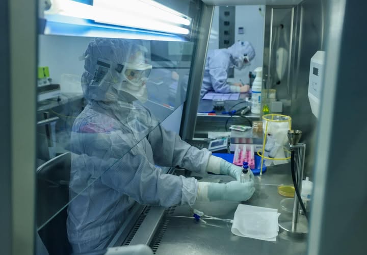 Försvunna Patogener I Australien