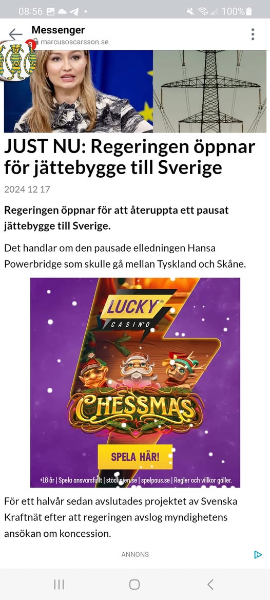 Regeringen Öppnar För Pausat Jätteelledningsbygge