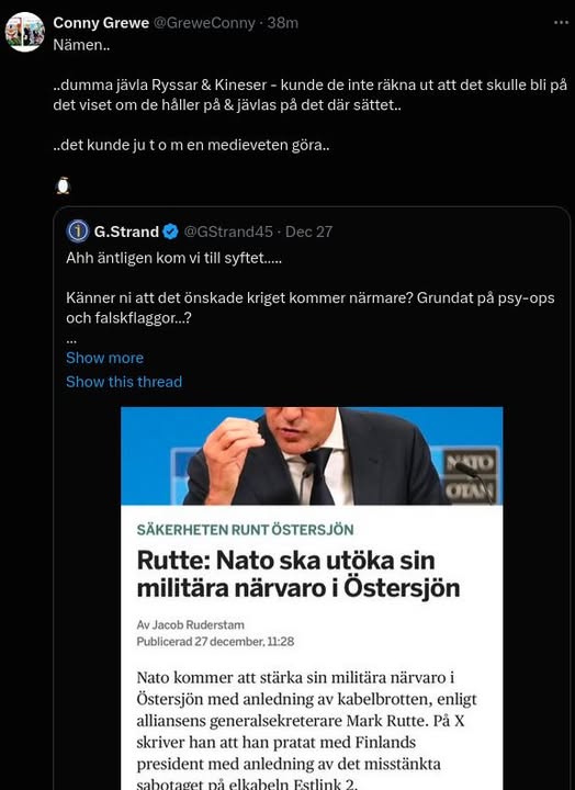 Ökad Natonärvaro I Östersjön Efter Kabelbrott