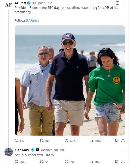 Underlivsporslinssemester