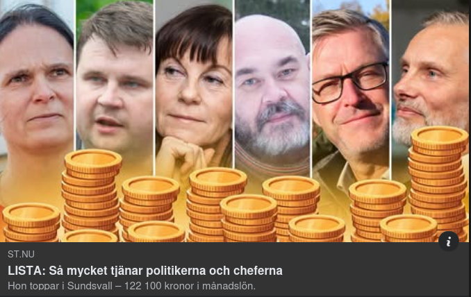 Politik & Chefslöner