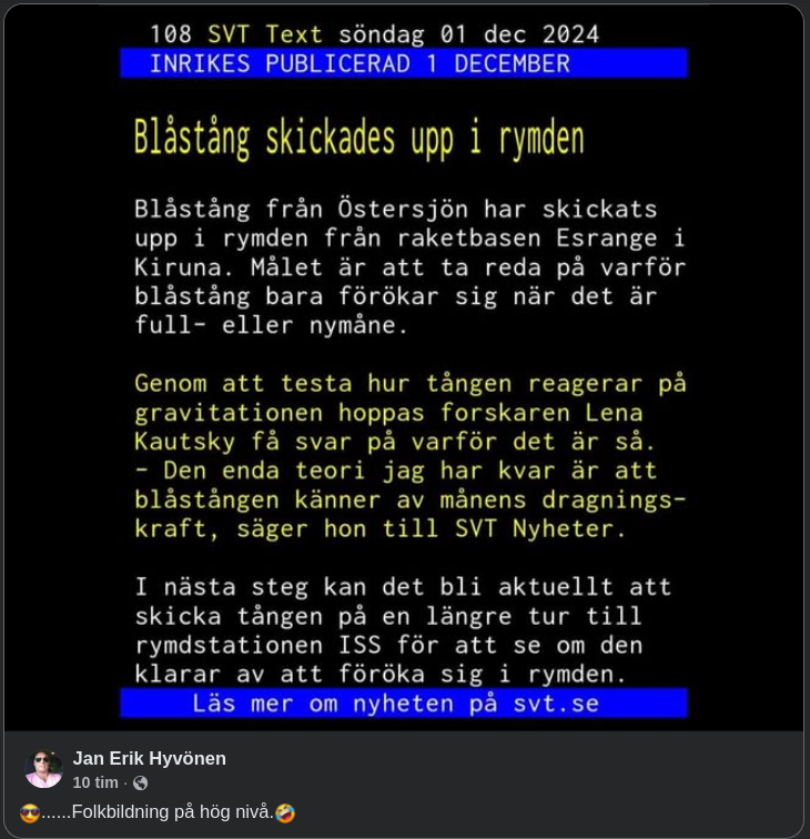 Rymdresande Blåstång