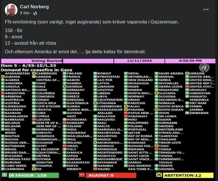 FN-Demokratisk Röstning