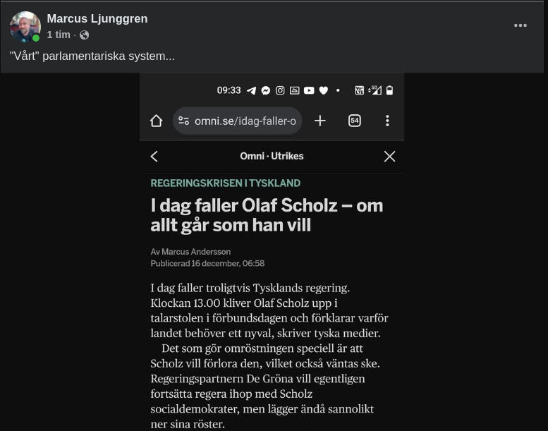 Tyskt Parlamentariskt System