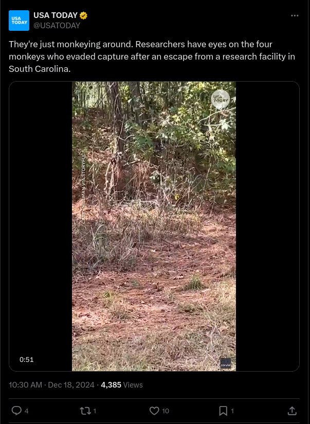 Förrymda & Övervakade Apor