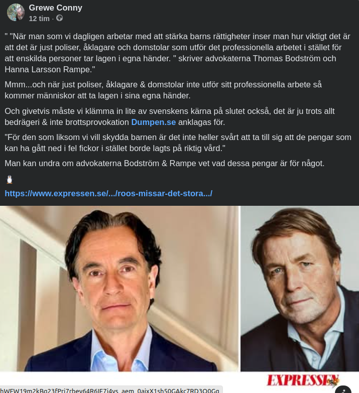 Advokater Bodström & Rampe Om Problemet Med Dumpen.se