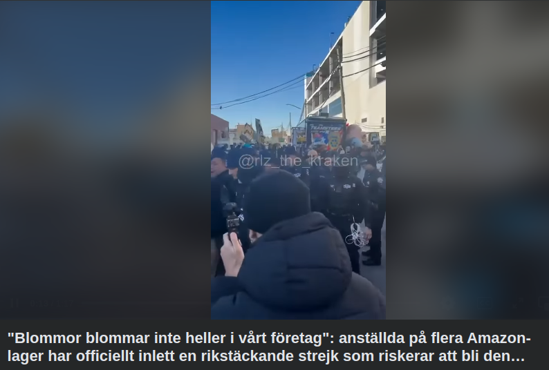 Amerikansk Amazon-Strejk