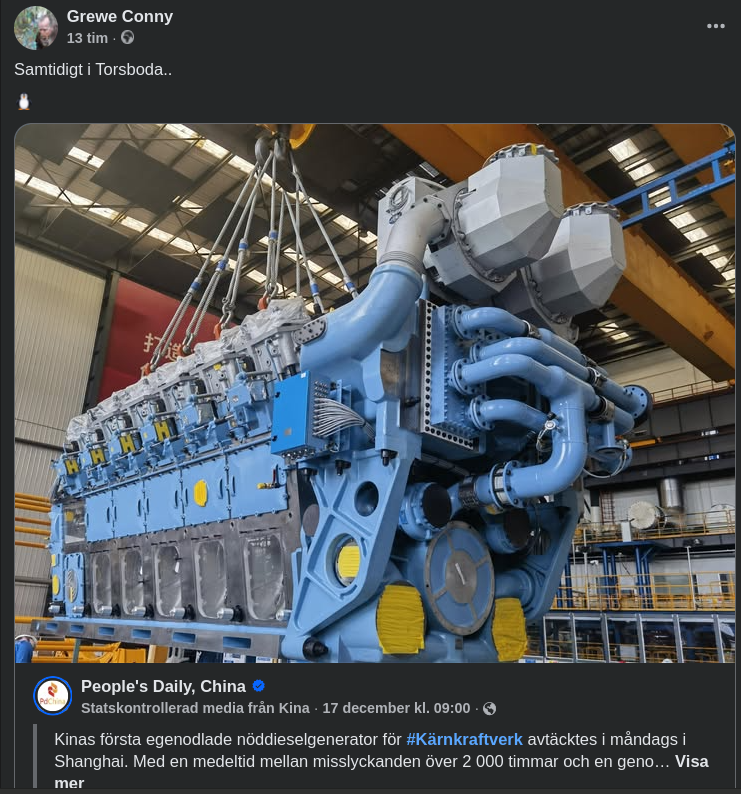 Kinesisk Nöddieselgenerator