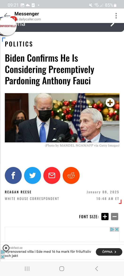 Benådningsövervägande Underlivsporslin