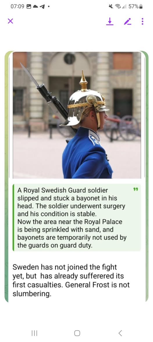 För Halt För Bajonetter