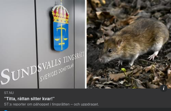 Råttprojicering I Sundsvalls Tingsrätt