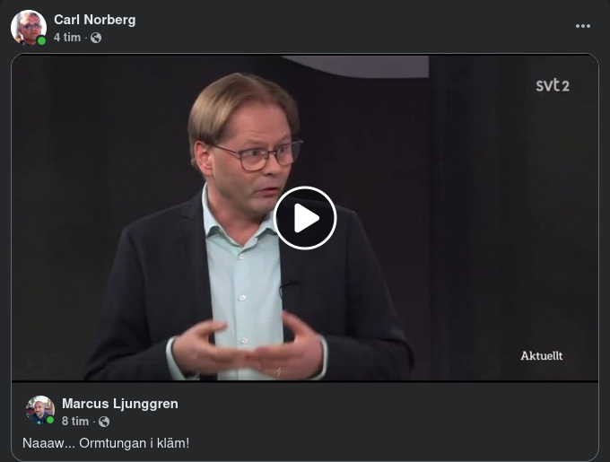 Algoritmklämd Ormtunga