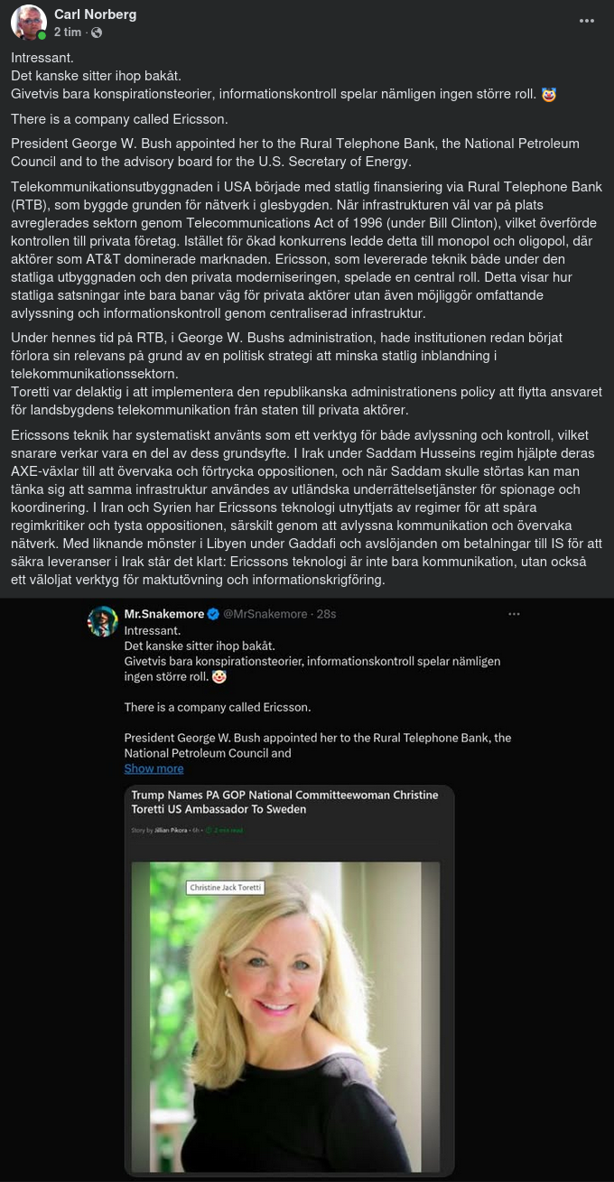 Christine Toretti Blir Ny Sverigeambassadör