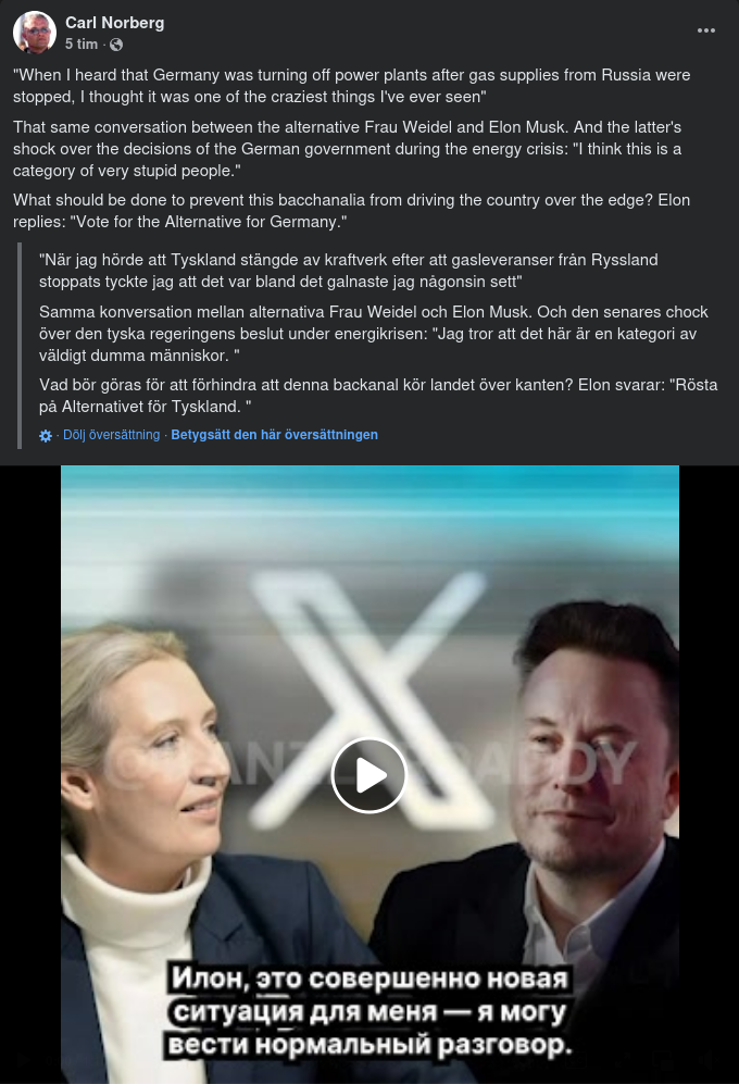 Musk Pratar Med Weidel Från AfD