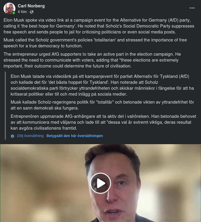 Musk På Videolänk Med AfD