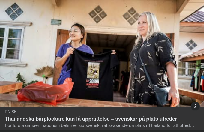 Möjlig Upprättelse För Thailändska Bärplockare