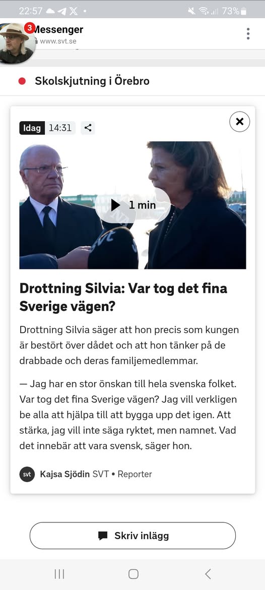 Silvia & Det Försvunna Fina Sverige
