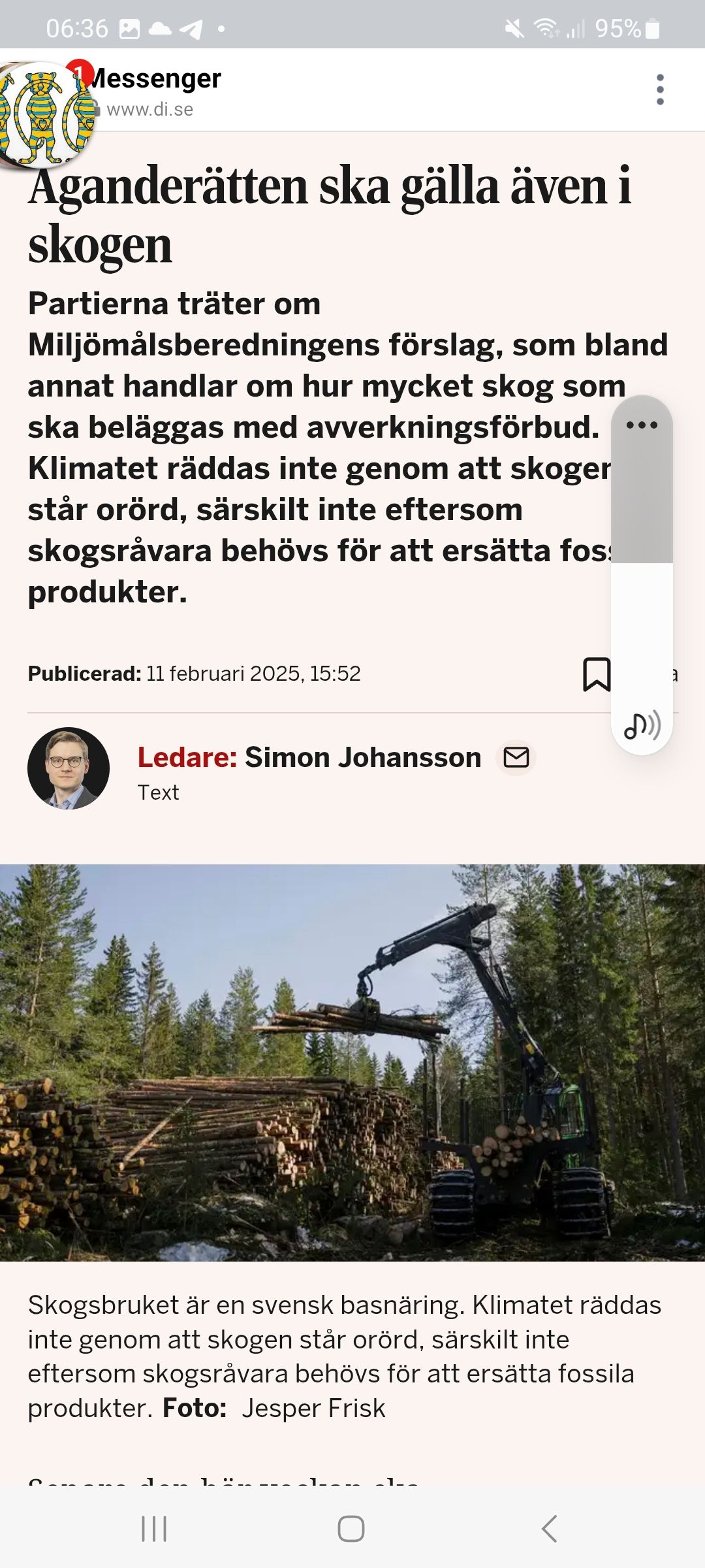 Äganderättsklimat I Skogen