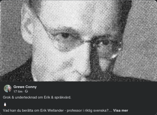 Språkvård Med Grok & Erik Wellander