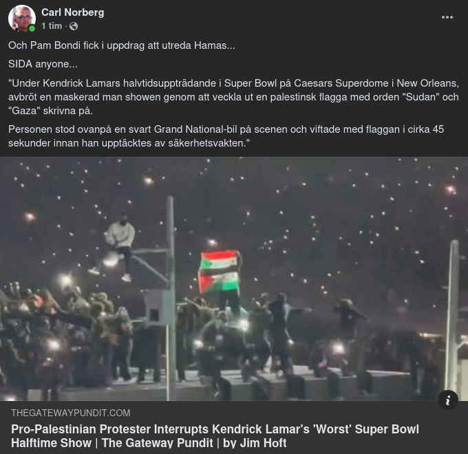 Flaggviftning Under Halvtidsuppträdandet