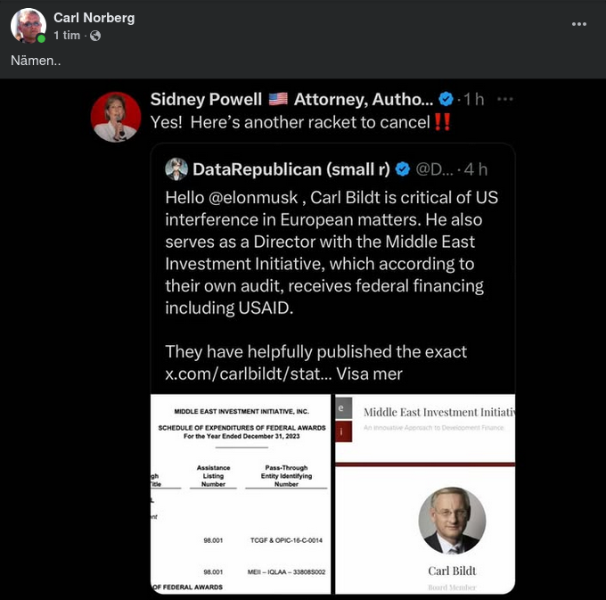 Sidney Powell Om Bildtsköne Kalle